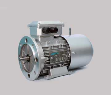 Three Phase Brake Motors